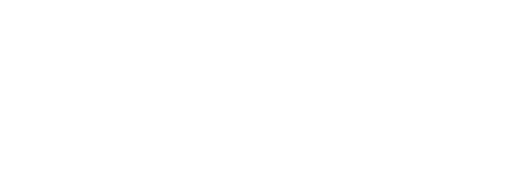 AFM Capital Partners